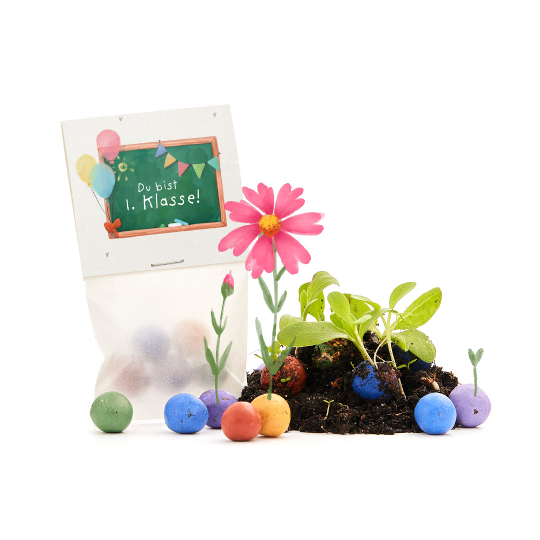 5 bloemenknikkers in een zakje voor de eerste schooldag "Je zit in groep 1"