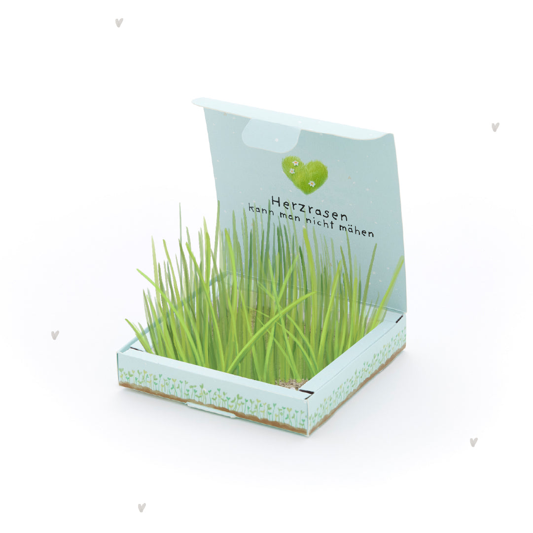 Plantbakjes - Hartkloppingen