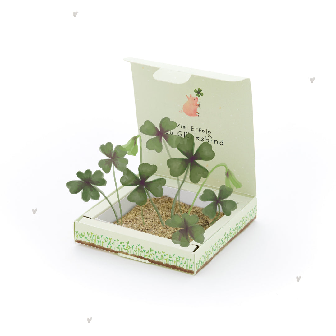 Plantbakjes - Veel succes, geluksvogel!
