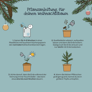 Illustration mit Anleitung zur Anzucht eines Weihnachtsbaums, inkl. gezeichneter Töpfe, Samen, Erde, Wasserkanne und Tannenästen, sowie Textschritten zur Aussaat, Bewässerung, Keimung und Umtopfen.
