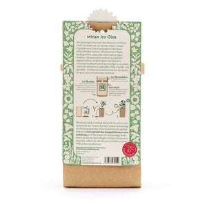 Rückseite einer Verpackung mit Anleitung zur Anzucht von Minze im Glas, umgeben von grün-weißem Blumenmuster.