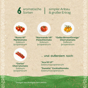 Sechs aromatische Tomatensorten (Roma VF, Marmande VR, Gelbe Birnenförmige, Cerise, Ace 55 VF, Sweetie) mit Bildern und Namen auf deutsch, geeignet für einfachen Anbau und hohen Ertrag.