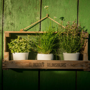 Gartenregal aus einem Zwiebelsieb