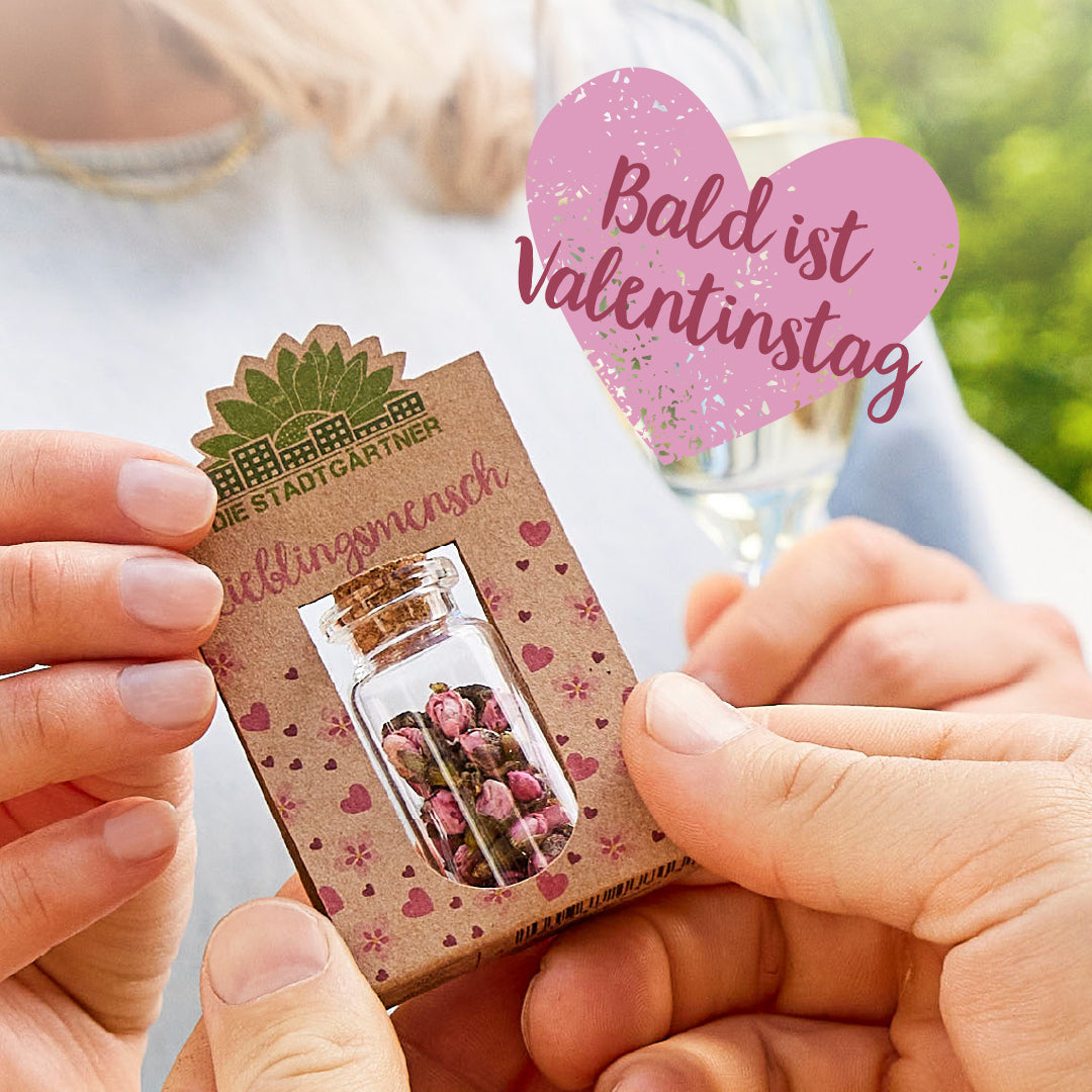 Valentinstagsgeschenke