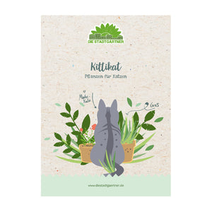 Illustration einer grauen Katze, die sich zwischen Zimmerpflanzen umdreht, auf einem Flyer von "Die Stadtgärtner" mit dem Titel "Kittikat - Pflanzen für Katzen".
