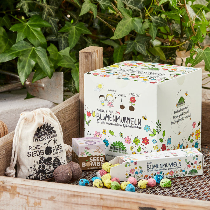 Verschiedene Verpackungen und bunte Blumenmurmeln (Seed Bombs) in einer Holzkiste, umgeben von grünen Blättern und Pflanzen.
