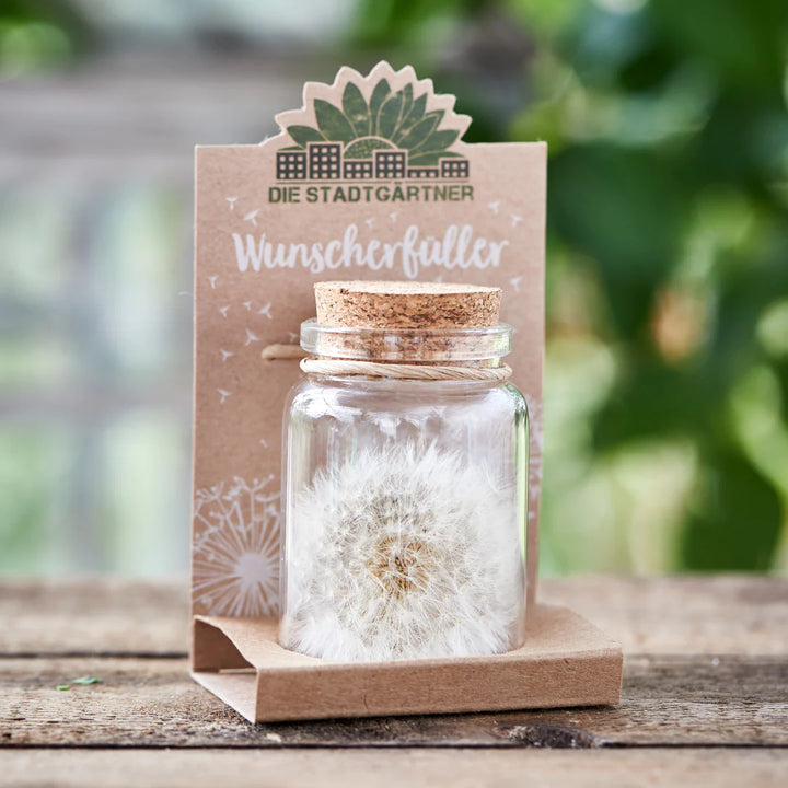 Wunscherfüller Groß - Pusteblume im Glas