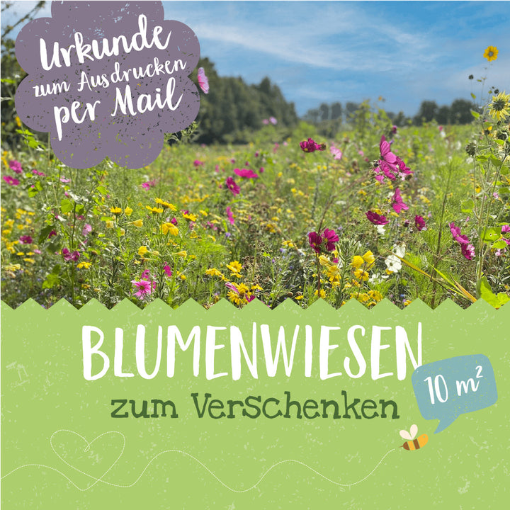 Blühende Blumenwiese unter blauem Himmel mit Text "Urkunde zum Ausdrucken per Mail" und "Blumenwiesen zum Verschenken 10 m²".