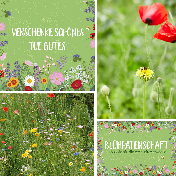 Collage aus vier Bildern; zwei mit Schriftzügen „Verschenke Schönes, Tue Gutes“ und „Blühpatenschaft – Ich schenk dir eine Blumenwiese“ auf grünem, blumigem Hintergrund sowie zwei Fotos von bunten Blumenwiesen und einer Biene auf einer gelben Blüte.