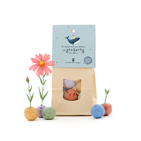 Papiertüte mit bunten Samenbällen, teilweise mit daraus wachsenden Blumen, und einer Karte mit einem Wal und dem Text: "Du bist nie zu klein, um großartig zu sein."