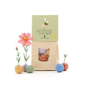Papiertüte mit bunten Samenbomben und Aufschrift „Hat die Blume einen Knick, war die Hummel wohl zu dick“, daneben blühende Blumen aus den Samenbomben.