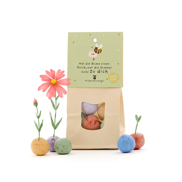 Papiertüte mit bunten Samenbomben und Aufschrift „Hat die Blume einen Knick, war die Hummel wohl zu dick“, daneben blühende Blumen aus den Samenbomben.