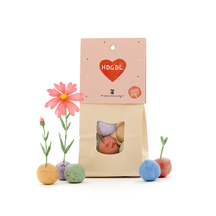 Packung mit Seedbombs und Wildblumen aus bunten Kugeln, einige Kugeln sprießen bereits, mit rosa Etikett "HDGDL".