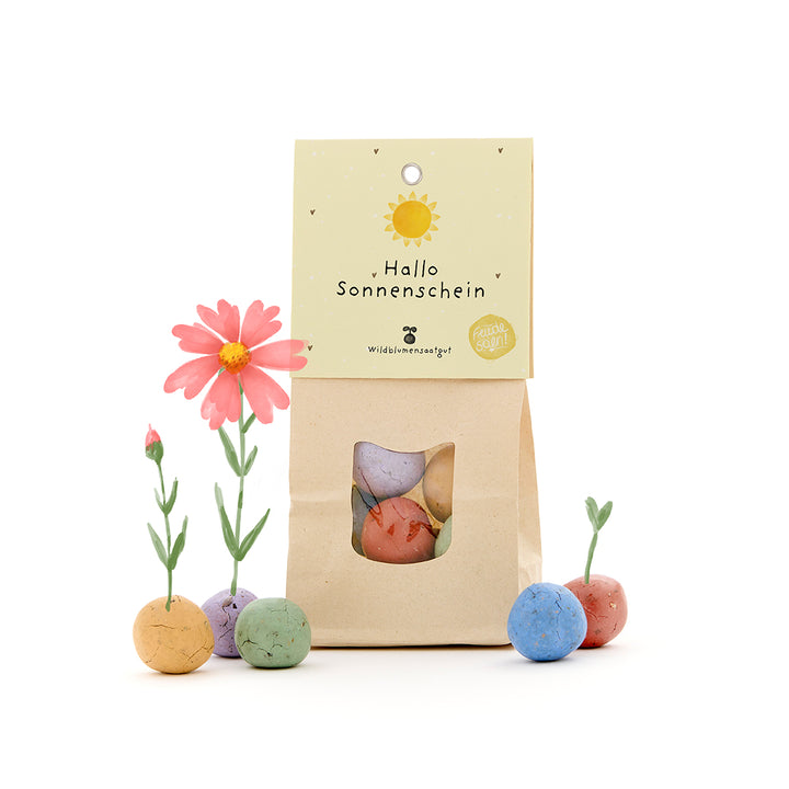 Papiertüte mit der Aufschrift „Hallo Sonnenschein“ und bunten Samenbomben, aus denen Blumen wachsen.