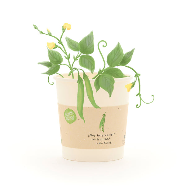 Ein Pappbecher mit einer wachsenden grünen Bohnenpflanze und gelben Blüten, auf dem Becher steht ein Spruch über Bohnen.