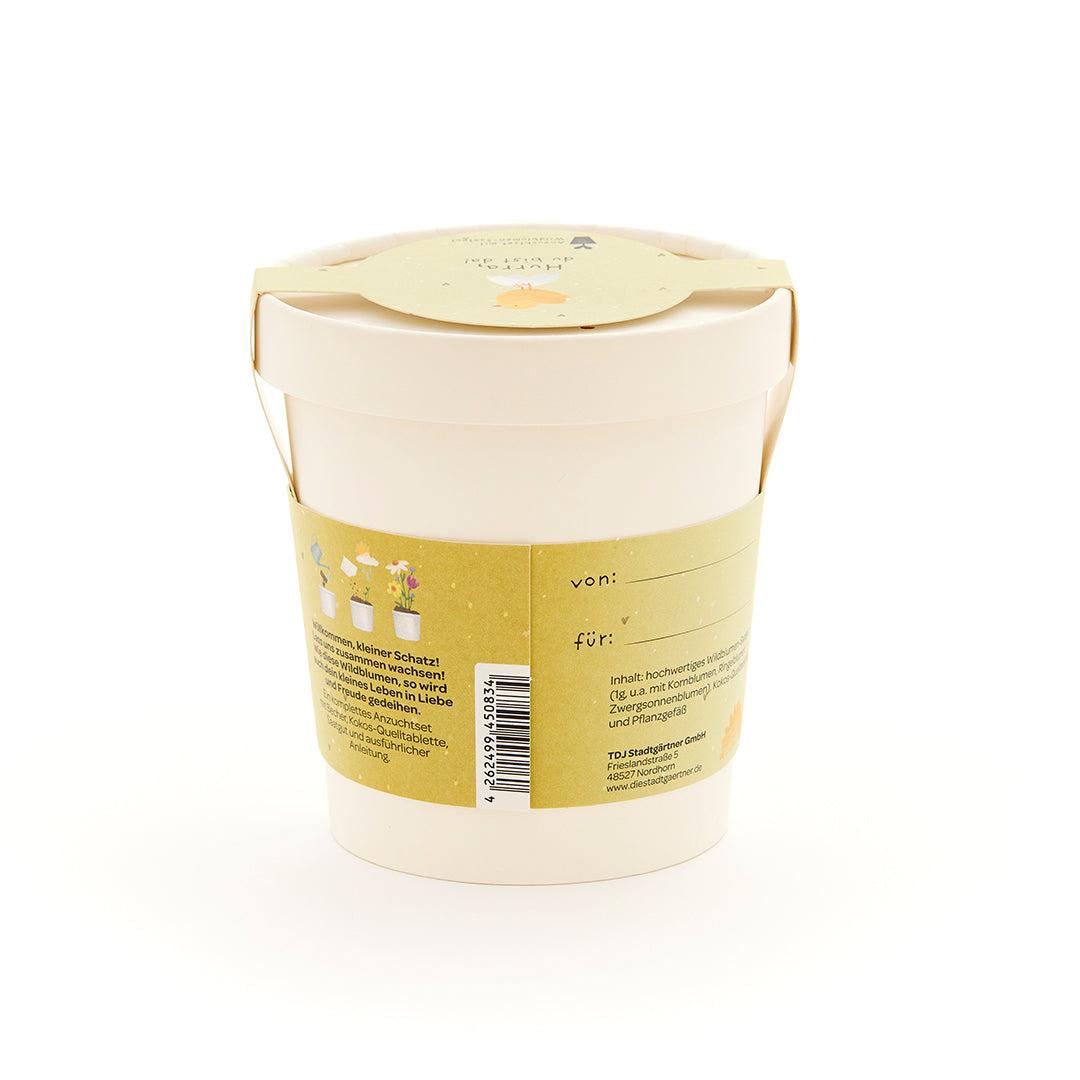 Beiger Pflanztopf mit gelbem Etikett und Aufschrift, Geschenkset zur Pflanzenanzucht.