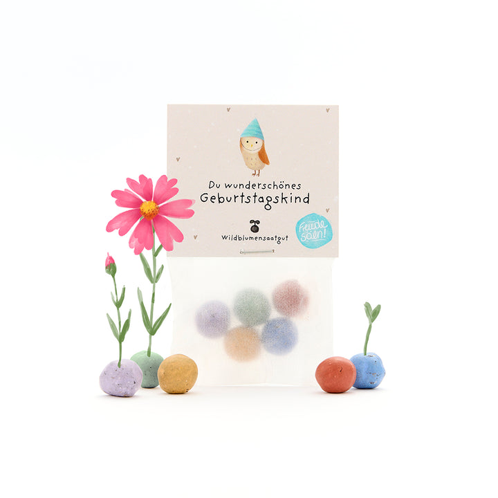 Tüte mit bunten Samenbällen, ein Etikett mit der Aufschrift „Du wunderschönes Geburtstagskind“ und eine rosa Blume.