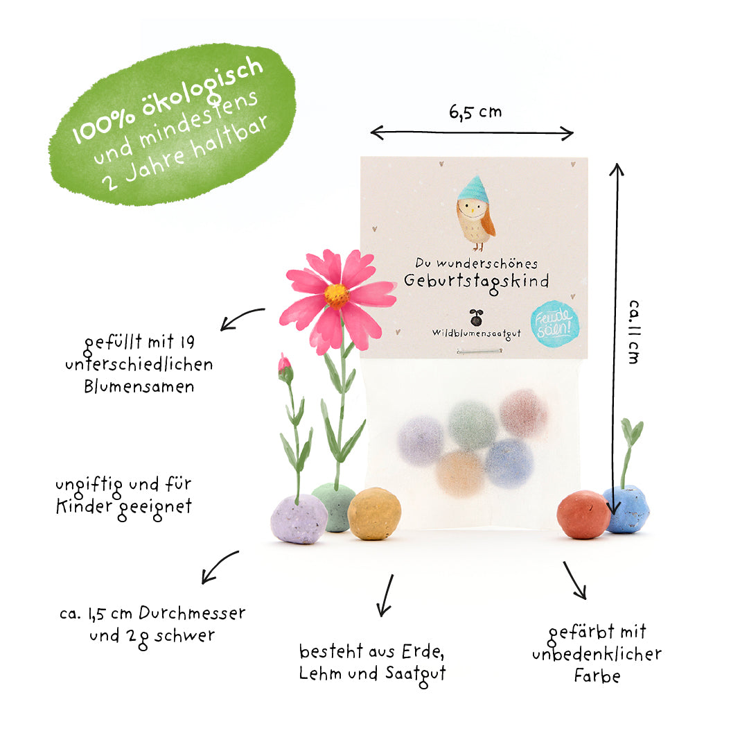 Tüte mit bunten, runden Saatkugeln, gefüllt mit Wildblumensamen, beschriftet mit Hinweisen zu Größe, Material und Nachhaltigkeit; umweltfreundlich und kinderfreundlich.