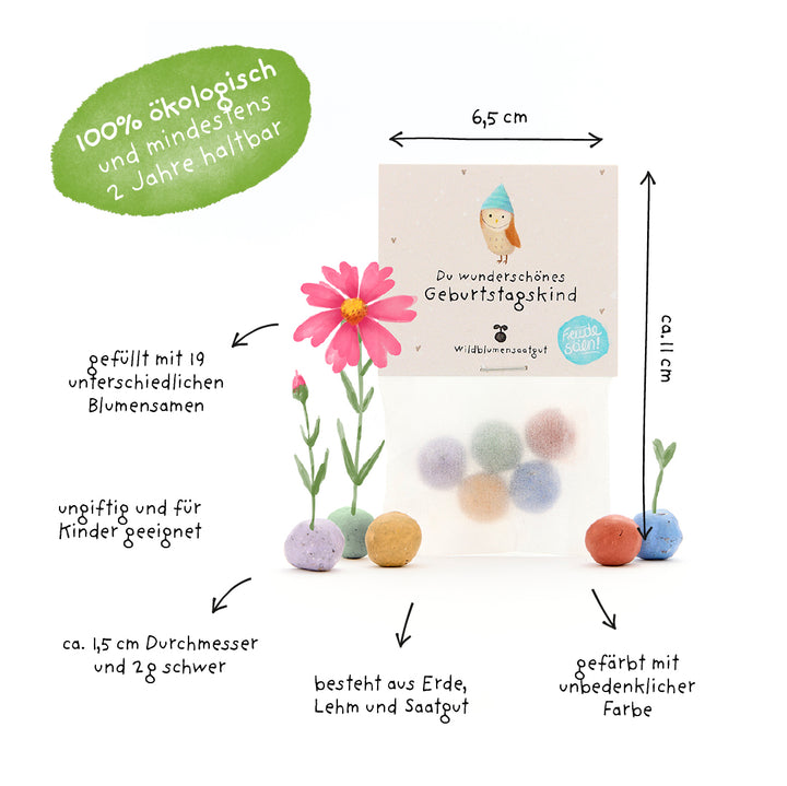 Tüte mit bunten, runden Saatkugeln, gefüllt mit Wildblumensamen, beschriftet mit Hinweisen zu Größe, Material und Nachhaltigkeit; umweltfreundlich und kinderfreundlich.