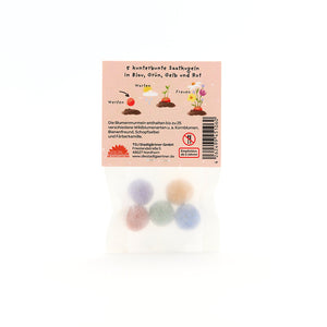 Eine Tüte mit fünf bunten Saatkugeln in Blau, Grün, Gelb und Rot, sowie einer Anleitung und Infos auf der Rückseite der Verpackung.