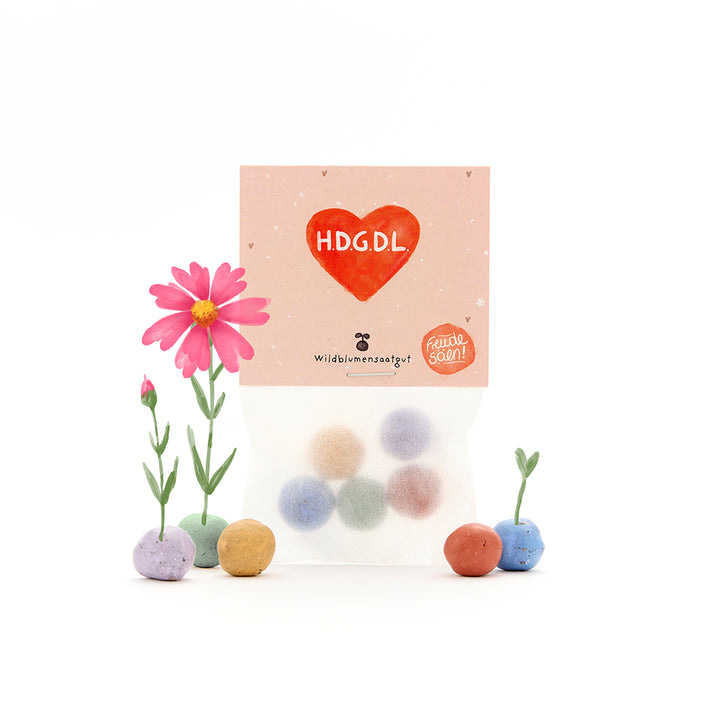 Tüte mit bunten Samenbällen, daneben blühende und keimende Samen, Verpackung mit rotem Herz und der Aufschrift "H.D.G.D.L" sowie "Wildblumensaatgut".