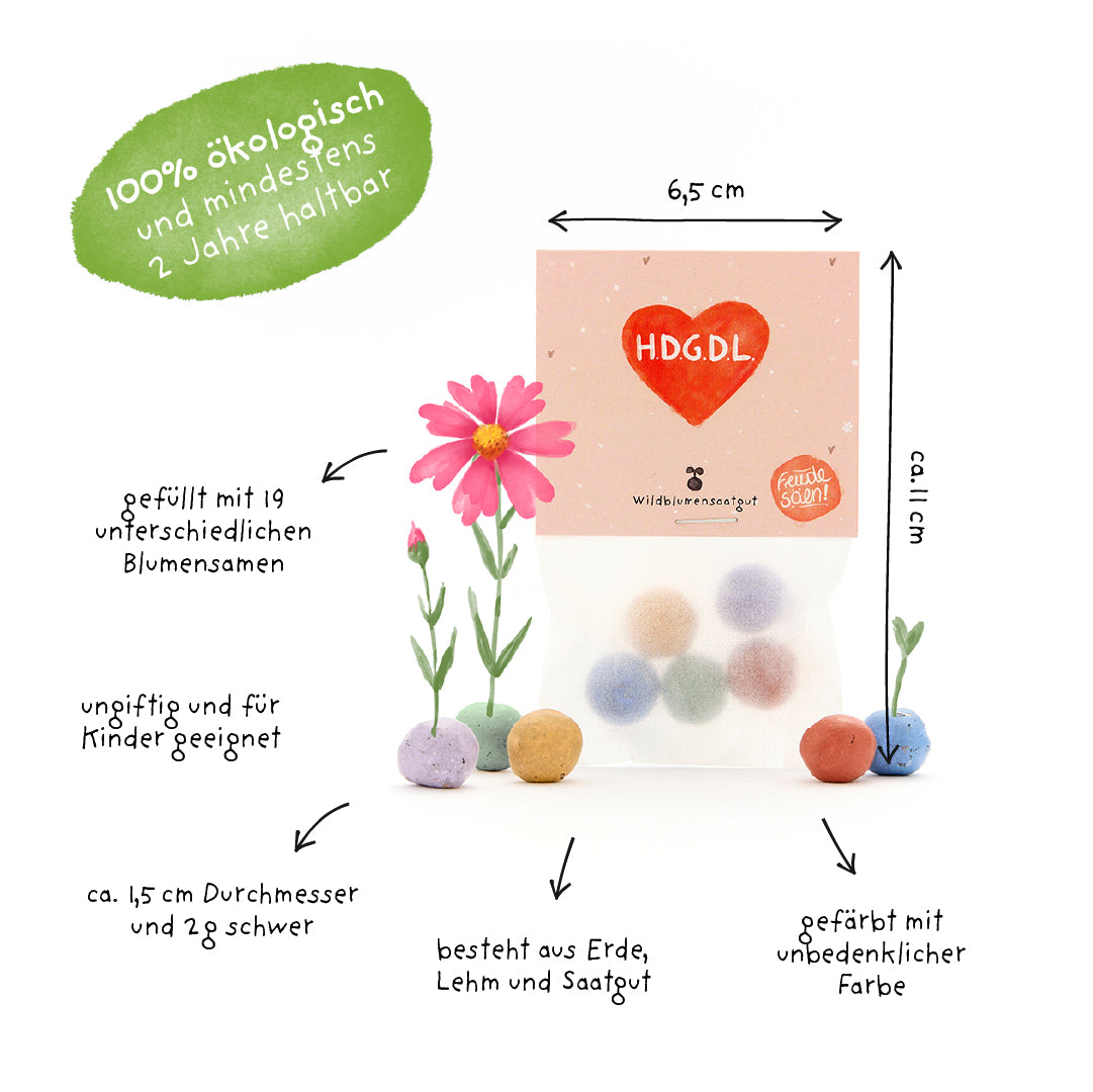 Verpackung mit bunten Samenbällen, beschriftet mit Informationen zu ökologischer Qualität, Blütensamen-Inhalt, Unbedenklichkeit für Kinder, Größe und Zusammensetzung aus Erde, Lehm und Saatgut.