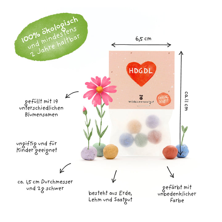 Verpackung mit bunten Samenbällen, beschriftet mit Informationen zu ökologischer Qualität, Blütensamen-Inhalt, Unbedenklichkeit für Kinder, Größe und Zusammensetzung aus Erde, Lehm und Saatgut.
