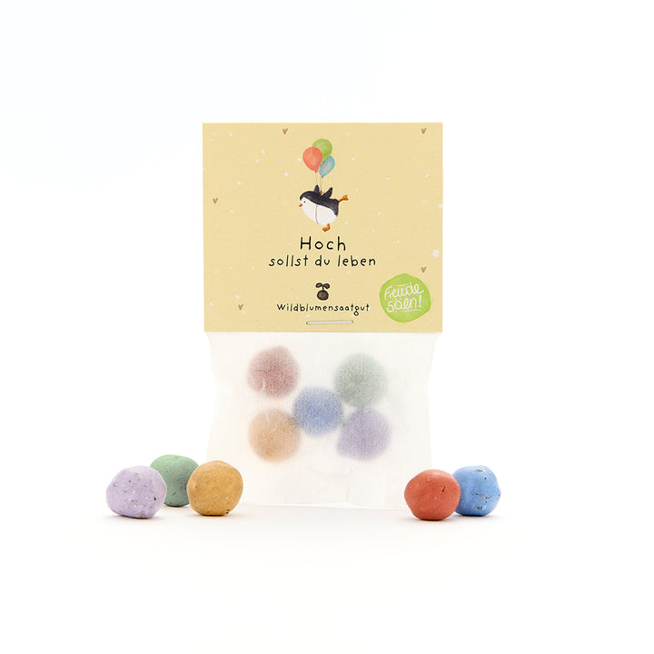 Tüte mit bunten Samenbällen und einem Etikett mit einem fliegenden Pinguin, der Ballons hält und dem Text „Hoch sollst du leben – Wildblumensaatgut“.