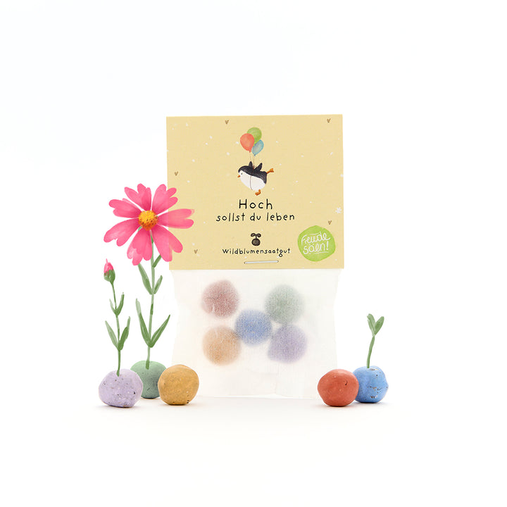 Packung mit bunten Samenbällen, Wildblumensaatgut, daneben eine blühende rosa Blume und Keimlinge, Beschriftung auf Deutsch.