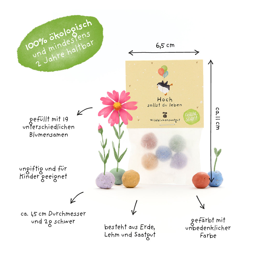 Verpackung mit bunten Samenbällchen aus Erde, Lehm und Saatgut, umgeben von Beschriftungen zu Größe, Materialien und Eigenschaften; 100% ökologisch, ungiftig und gefüllt mit 19 verschiedenen Blumensamen.