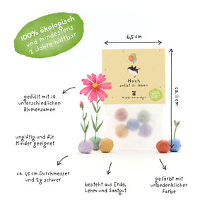 Verpackung mit bunten Samenbällchen aus Erde, Lehm und Saatgut, umgeben von Beschriftungen zu Größe, Materialien und Eigenschaften; 100% ökologisch, ungiftig und gefüllt mit 19 verschiedenen Blumensamen.