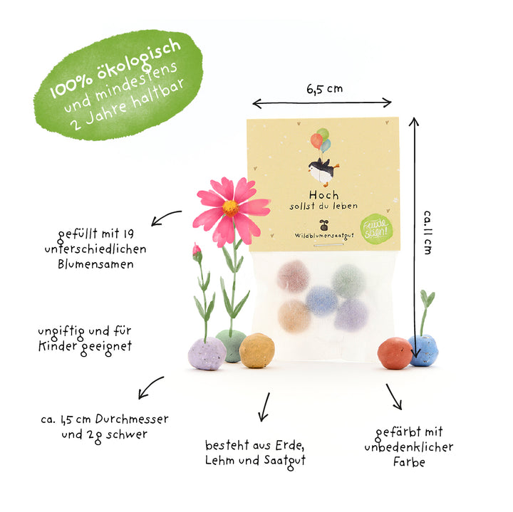 Verpackung mit bunten Samenbällchen aus Erde, Lehm und Saatgut, umgeben von Beschriftungen zu Größe, Materialien und Eigenschaften; 100% ökologisch, ungiftig und gefüllt mit 19 verschiedenen Blumensamen.