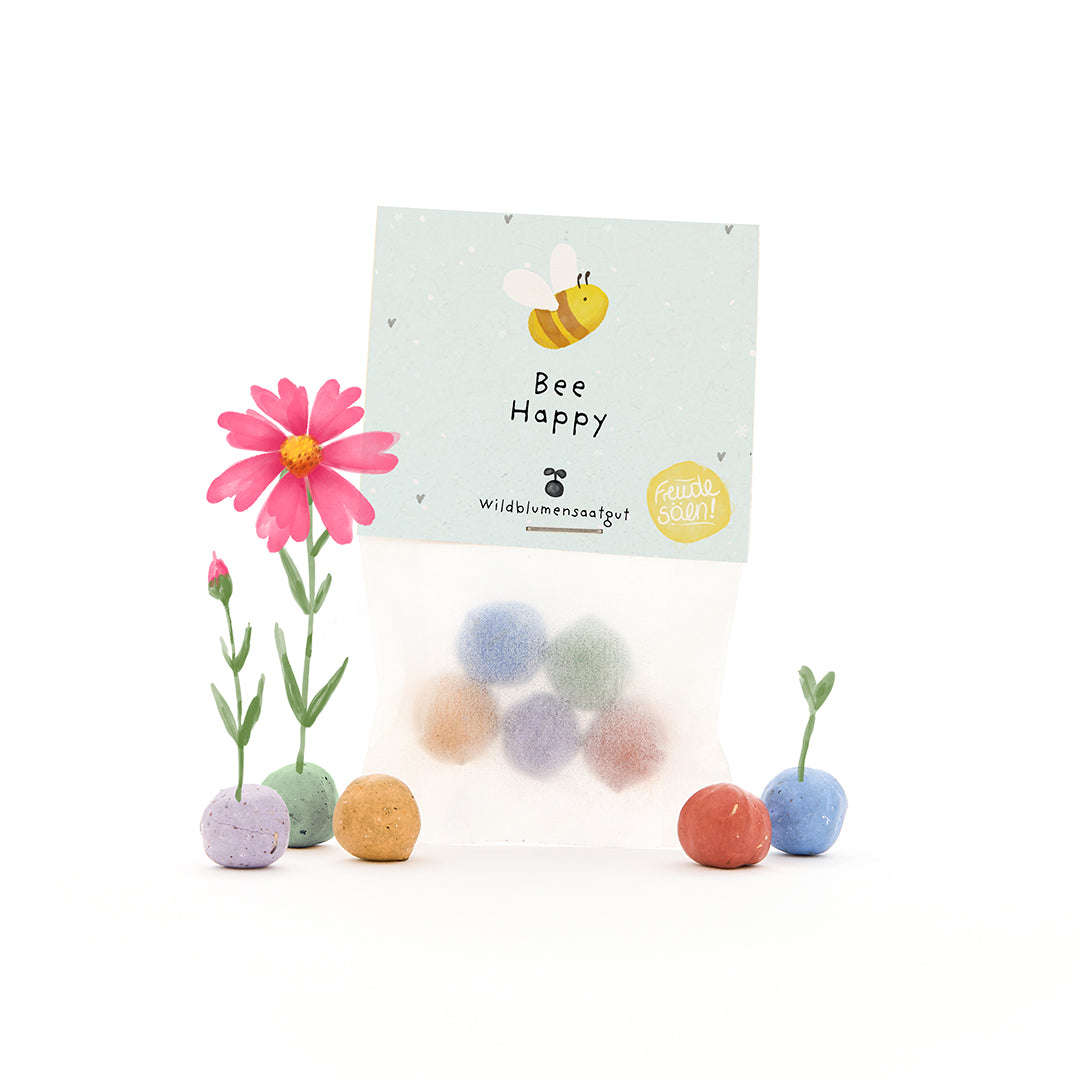 Tüte mit bunten Samenbomben, einigen kleinen blühenden Pflanzen und einer Karte mit der Aufschrift "Bee Happy" und einer gezeichneten Biene.