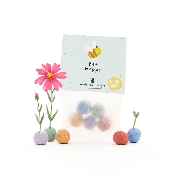 Tüte mit bunten Samenbomben, einigen kleinen blühenden Pflanzen und einer Karte mit der Aufschrift "Bee Happy" und einer gezeichneten Biene.