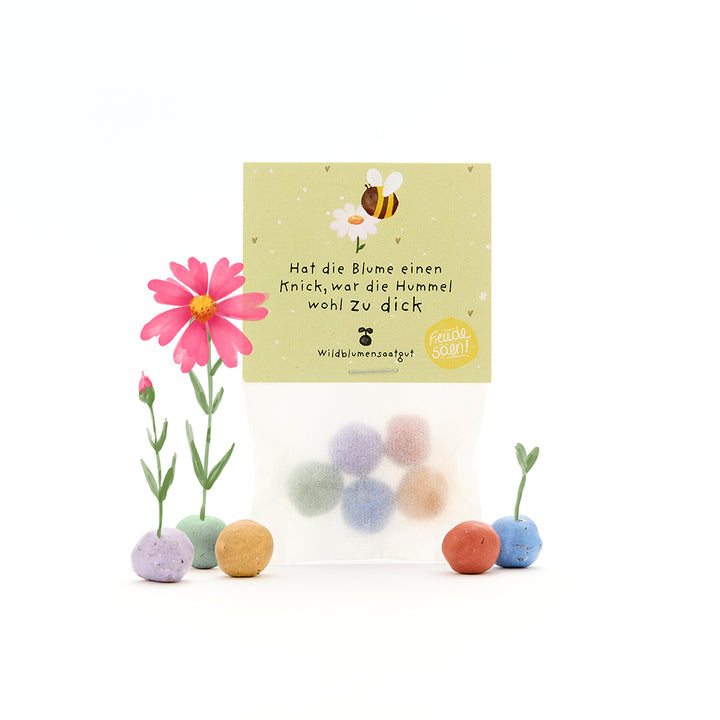 Tüte mit bunten Samenbällen, einigen blühenden Blumen und einem Etikett mit einer Biene und dem Spruch: „Hat die Blume einen Knick, war die Hummel wohl zu dick.“