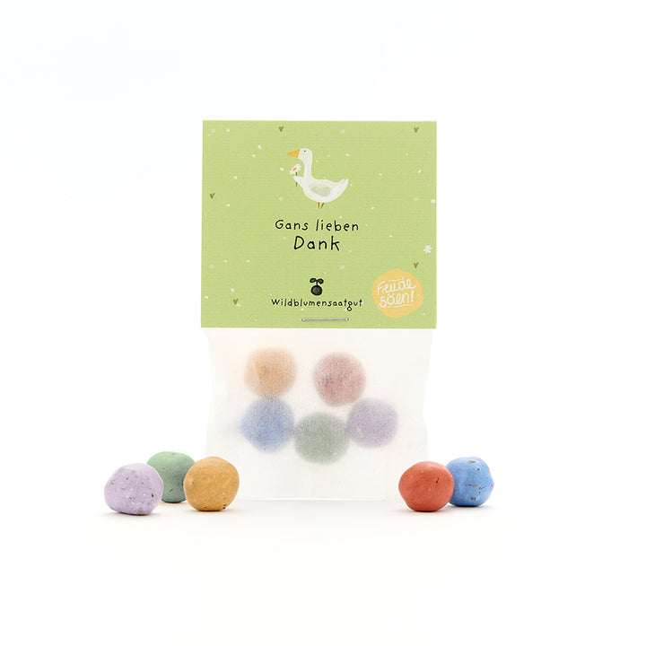 Tüte mit bunten Samenbällchen und grünem Etikett, darauf eine gezeichnete Gans und der Text "Gans lieben Dank – Wildblumensaatgut".