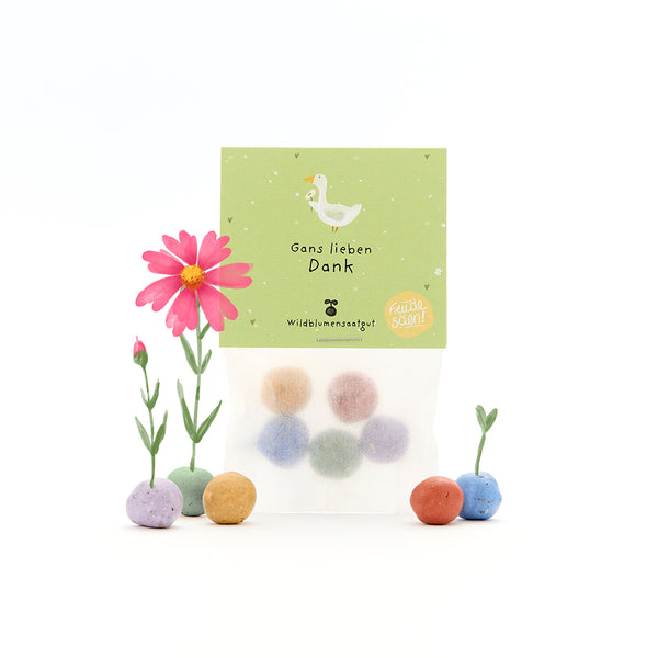 Tüte mit bunten Samenbällen, grünes Etikett mit Gans und Text "Gans lieben Dank", daneben blühende und keimende Blumen.