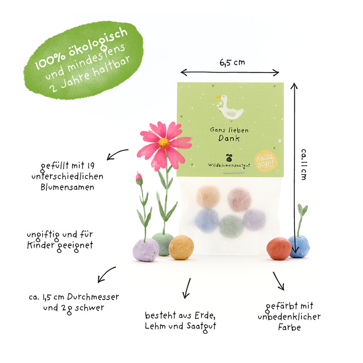 Tüte mit bunten Samenbällchen, beschriftet mit Informationen auf Deutsch über Größe, Inhalt (19 verschiedene Blumensamen), ungiftige Farben, ökologische Herstellung und Eignung für Kinder.