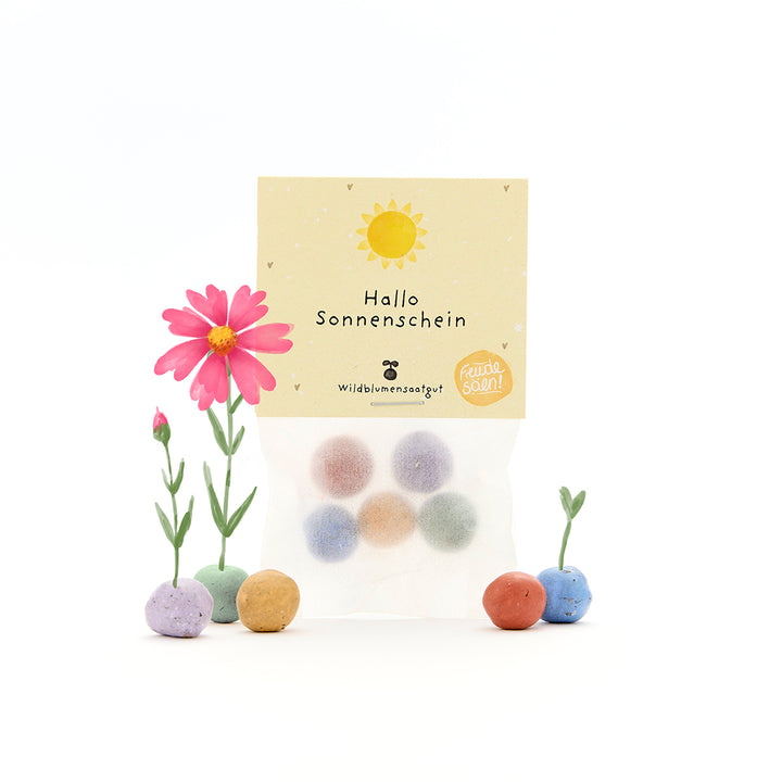 Tüte mit bunten Samenbällen, beschriftet mit "Hallo Sonnenschein", daneben blühende und keimende Blumen.