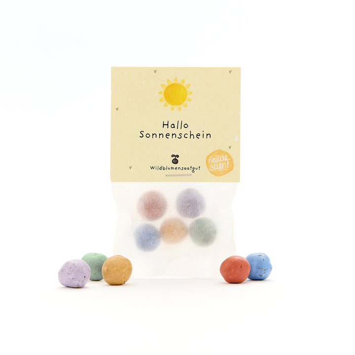Tüte mit bunten Samenbällchen und Etikett "Hallo Sonnenschein" sowie einer Sonne und kleinen Herzchen, Wildblumensaatgut.