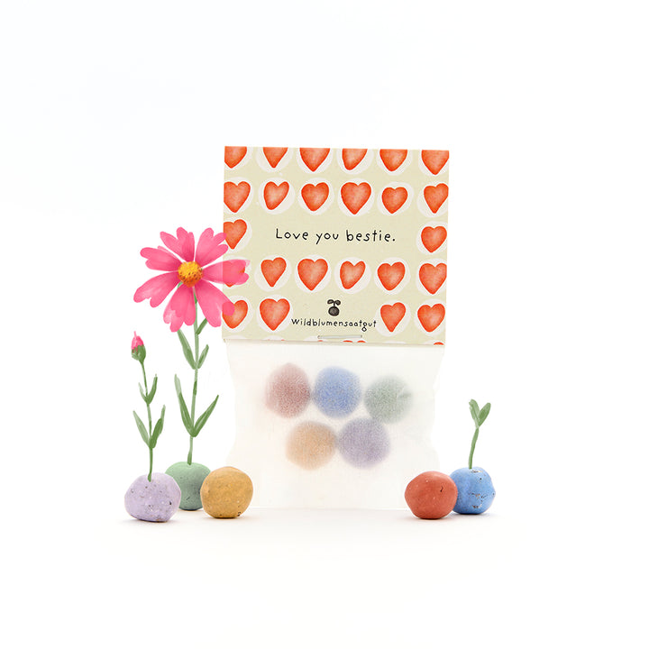 Tüte mit Wildblumensamen, dekoriert mit roten Herzen und der Aufschrift "Love you bestie.", umgeben von bunten Samenbällchen und kleinen blühenden Blumen.