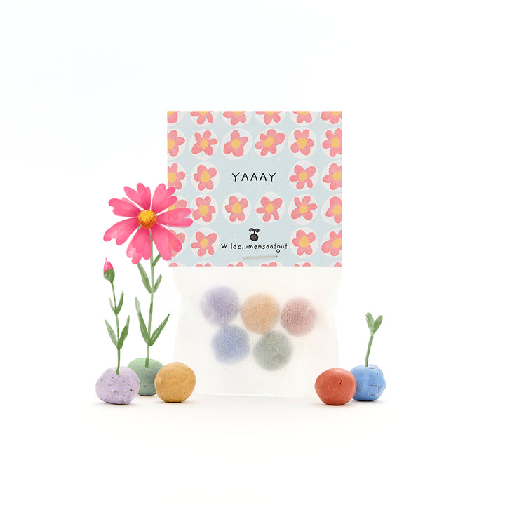 Tüte mit bunten Wildblumensamen-Kugeln, Blumenmuster auf der Verpackung und kleinen, blühenden Blumen daneben.