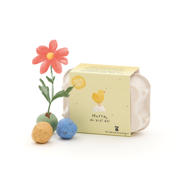 Eine kleine Eierkarton-Verpackung mit der Aufschrift „Hurra, du bist da!“ und einem gelben Küken, daneben bunte Samenbomben und eine rote Blume.