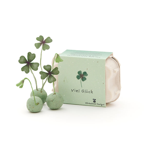 Drei blühende Glücksklee-Pflanzen mit grünen Kugeln neben einer Verpackung mit der Aufschrift „Viel Glück“.
