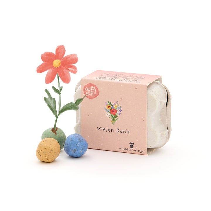 Kleine Geschenkbox mit der Aufschrift „Vielen Dank“, drei bunten Samenbällen und einer gemalten Blume.