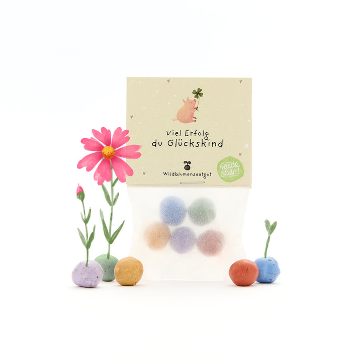 Tüte mit bunten Samenbällen, Blumen und einer Karte mit der Aufschrift "Viel Erfolg du Glückskind" auf Deutsch.