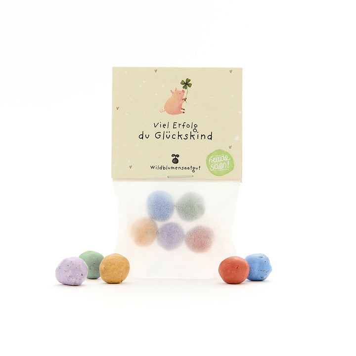 Tüte mit bunten Wildblumensamen-Kugeln und einer Karte mit der Aufschrift "Viel Erfolg du Glückskind" sowie einer Illustration eines Schweinchens mit Glücksklee.