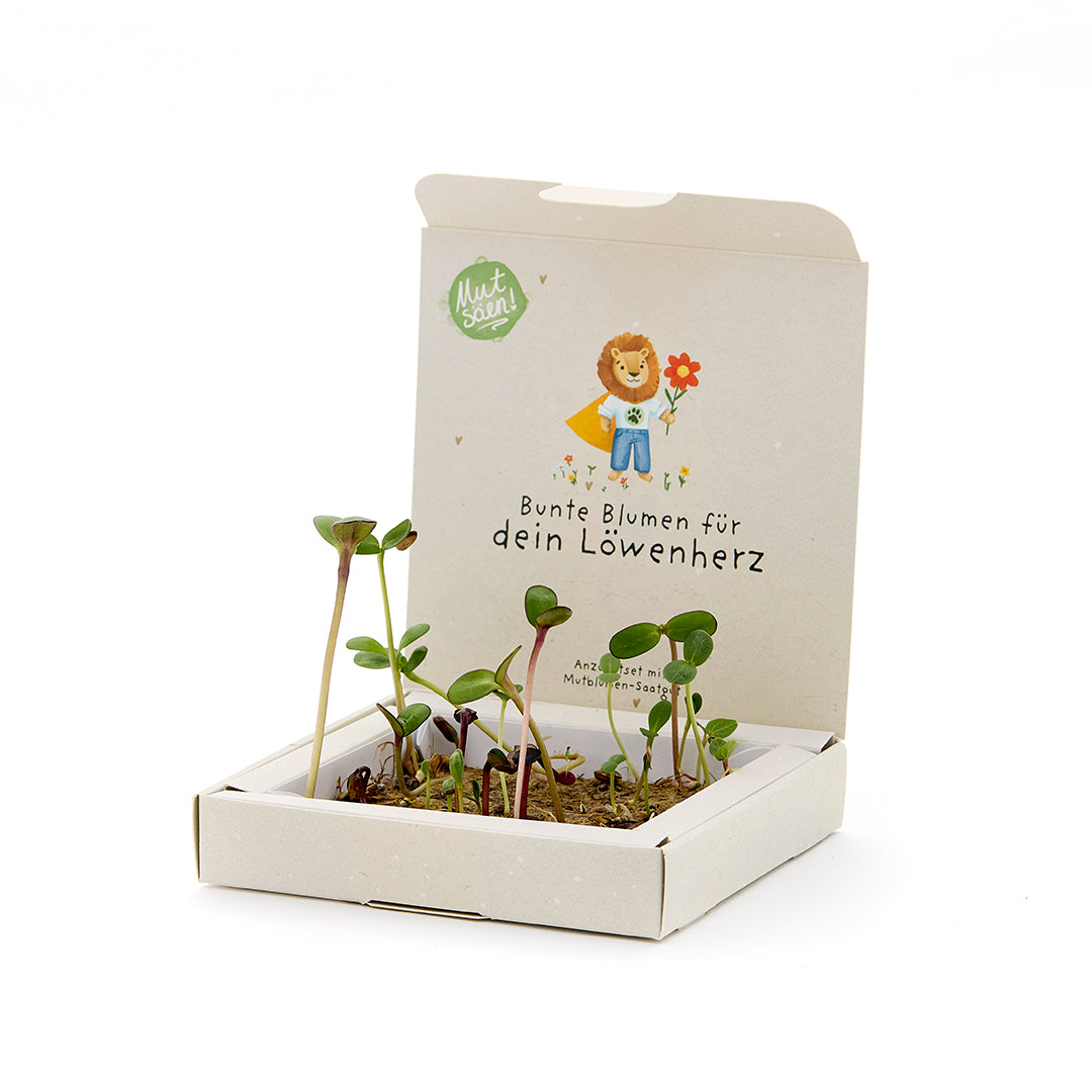 Plantendoosje – Moedbloemen