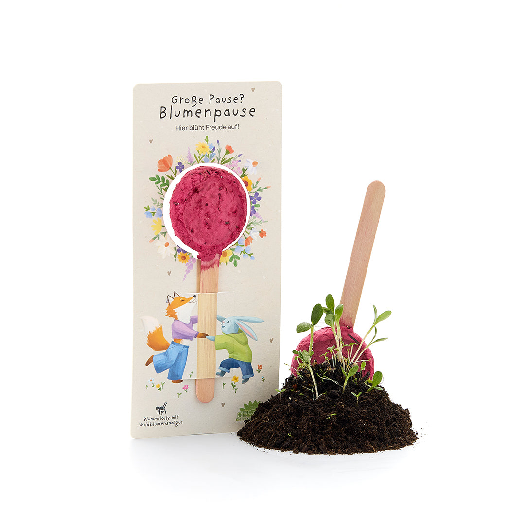 Grote pauze - Bloemlolly
