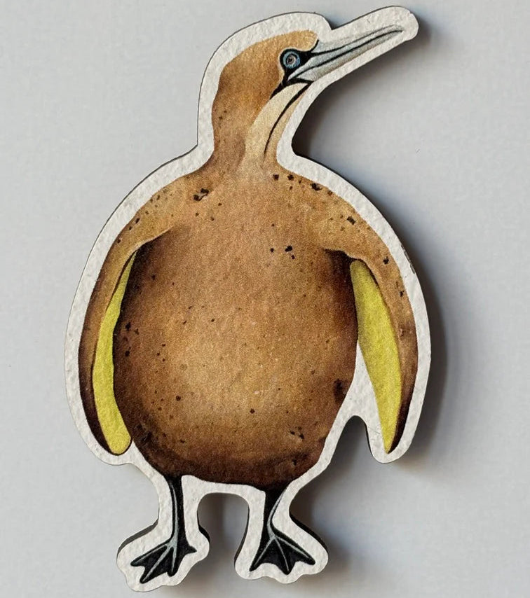 Houten magneet groentevogels - Kaapse jan-van-gent